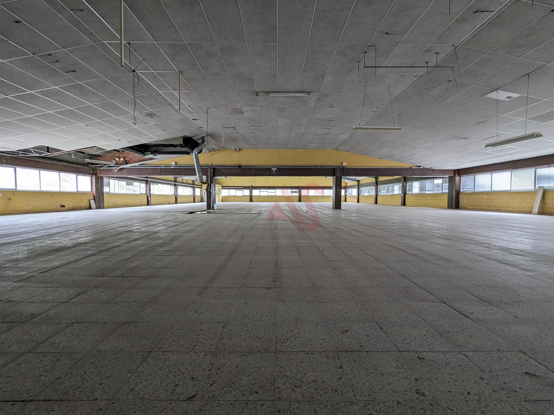 Oportunidade Industrial: Armazéns com áreas flexíveis - Cepães, Fafe