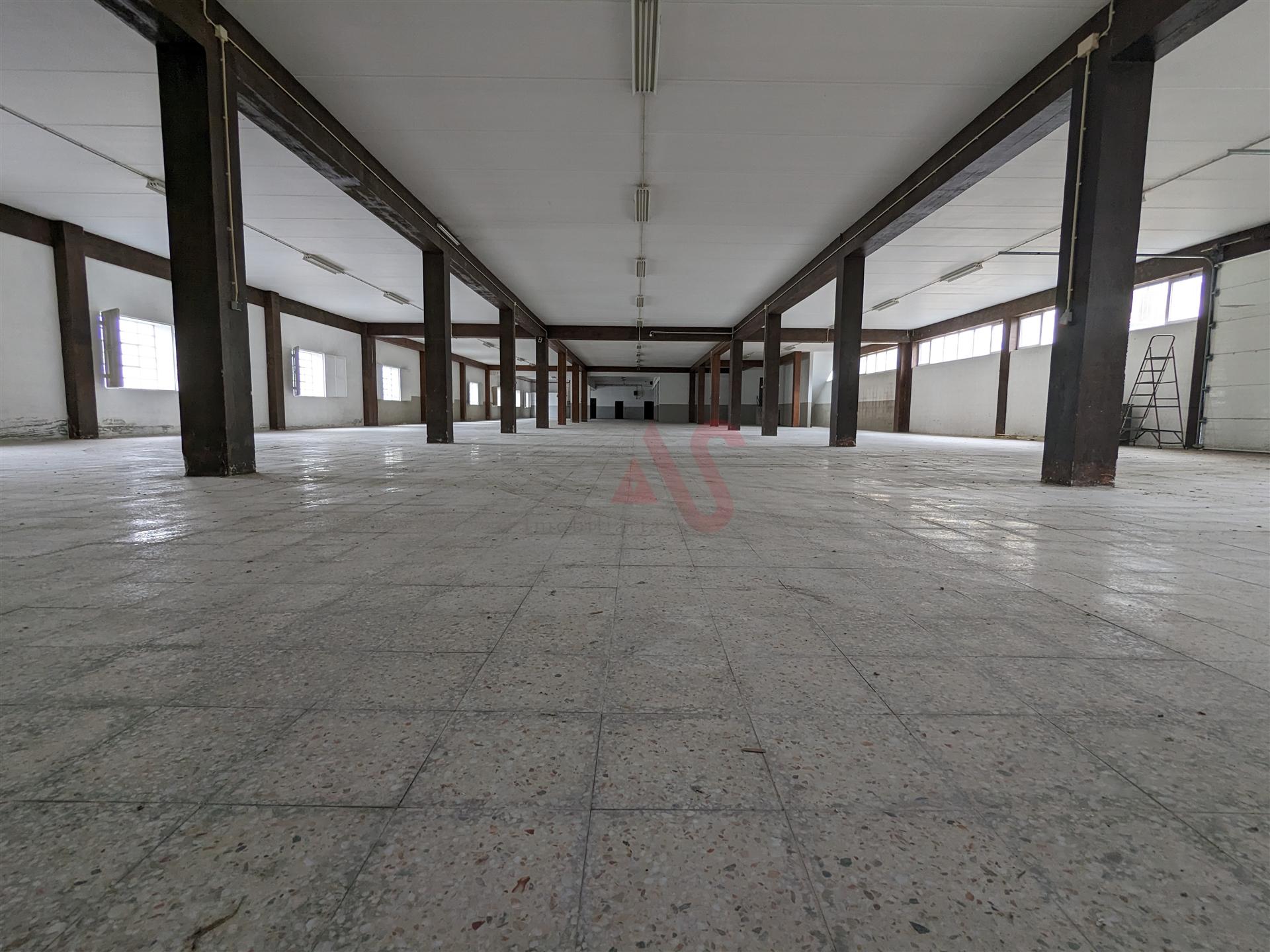 Oportunidade Industrial: Armazéns com áreas flexíveis - Cepães, Fafe