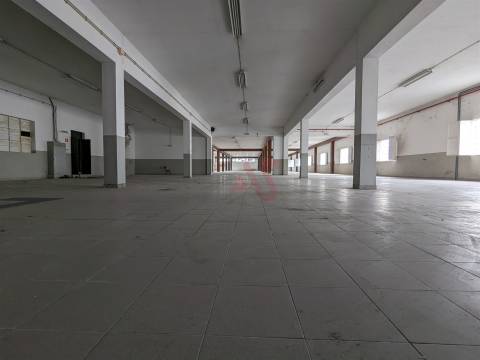 Oportunidade Industrial: Armazéns com áreas flexíveis - Cepães, Fafe