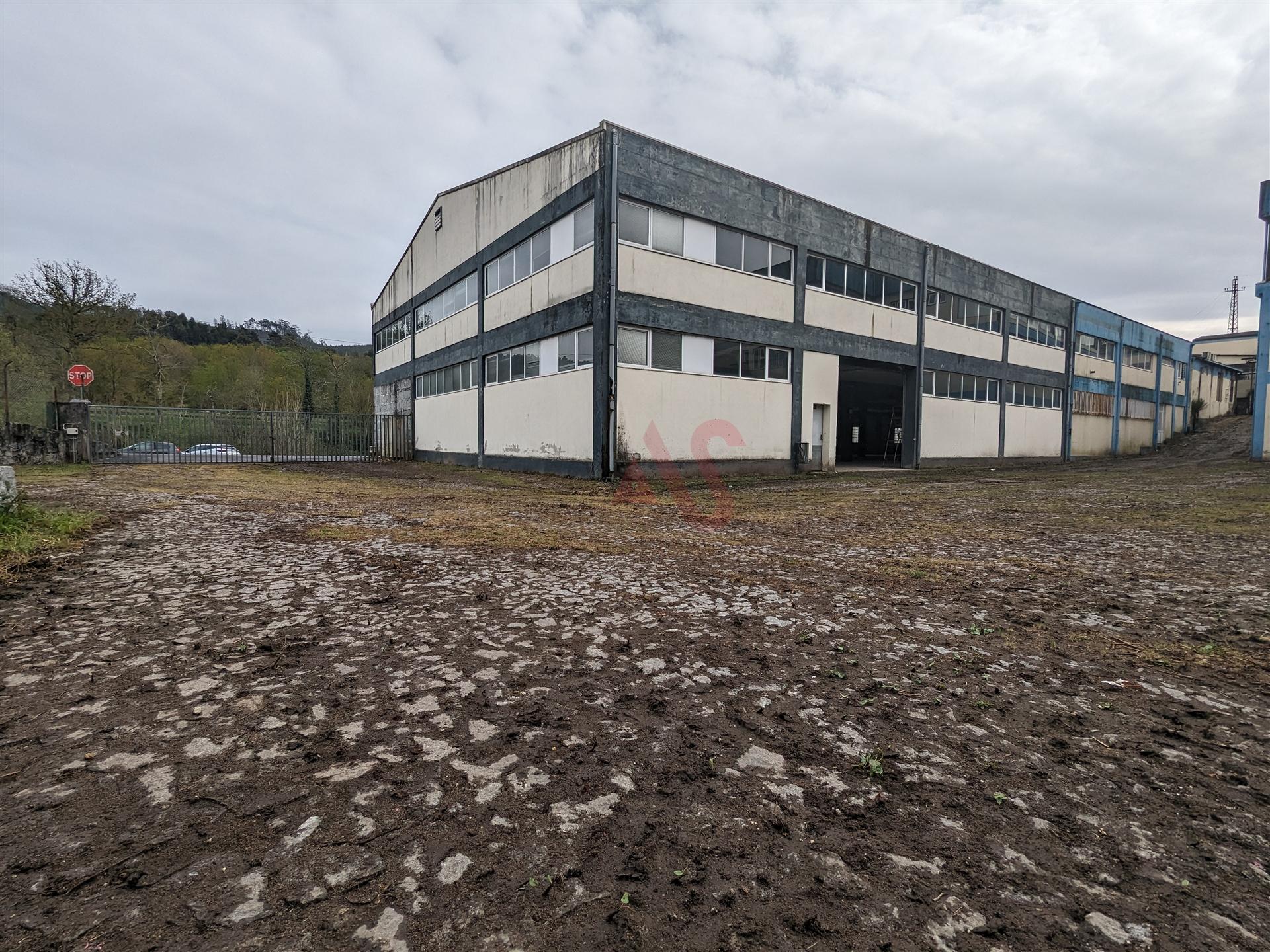 Oportunidade Industrial: Armazéns com áreas flexíveis - Cepães, Fafe