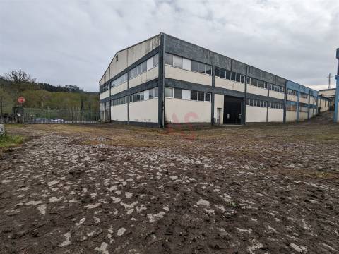 Oportunidade Industrial: Armazéns com áreas flexíveis - Cepães, Fafe