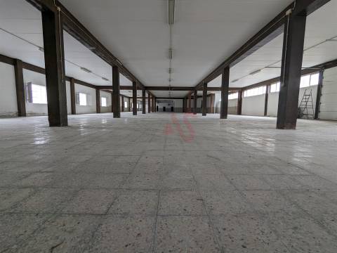 Oportunidade Industrial: Armazéns com áreas flexíveis - Cepães, Fafe