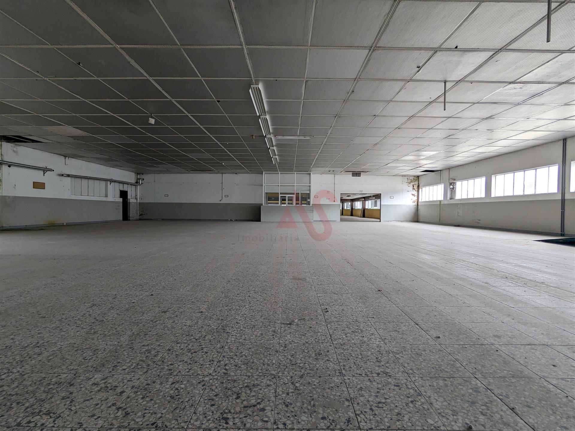 Oportunidade Industrial: Armazéns com áreas flexíveis - Cepães, Fafe