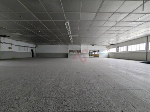 Oportunidade Industrial: Armazéns com áreas flexíveis - Cepães, Fafe