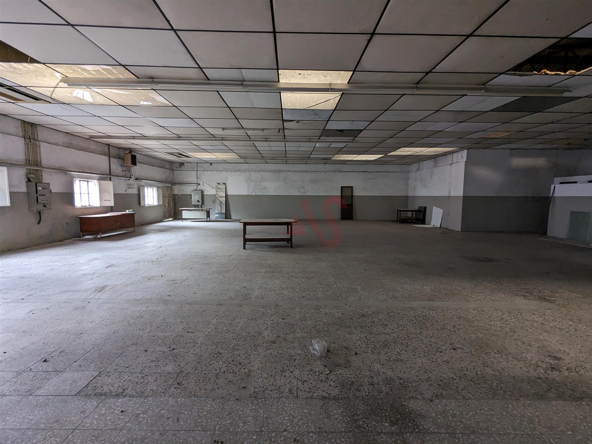 Oportunidade Industrial: Armazéns com áreas flexíveis - Cepães, Fafe