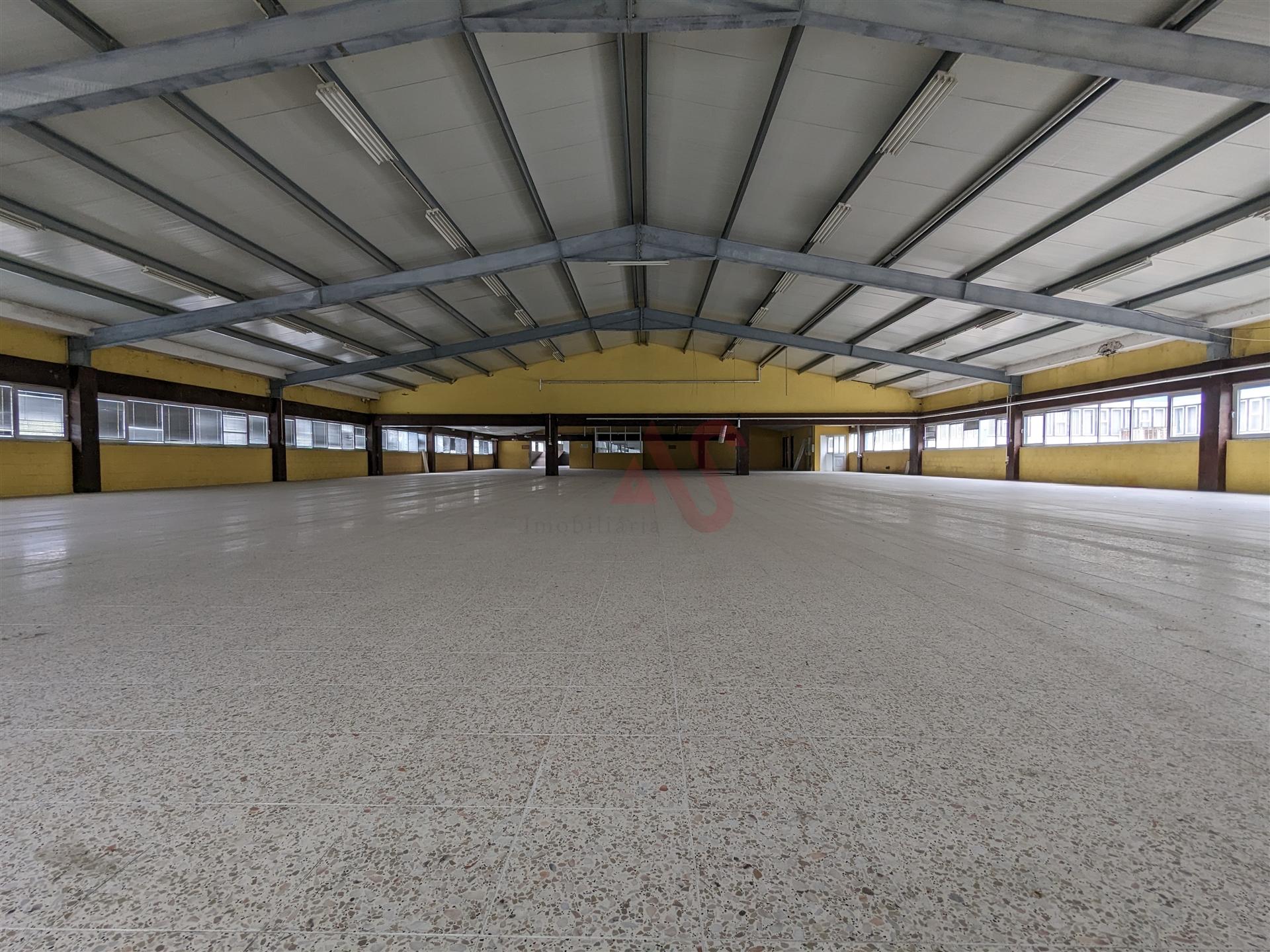 Oportunidade Industrial: Armazéns com áreas flexíveis - Cepães, Fafe