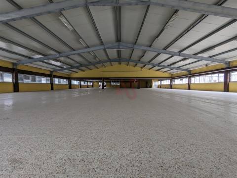 Oportunidade Industrial: Armazéns com áreas flexíveis - Cepães, Fafe