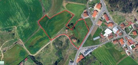 Oportunidade de Restauro com Vistas Desafogadas em Lamoso