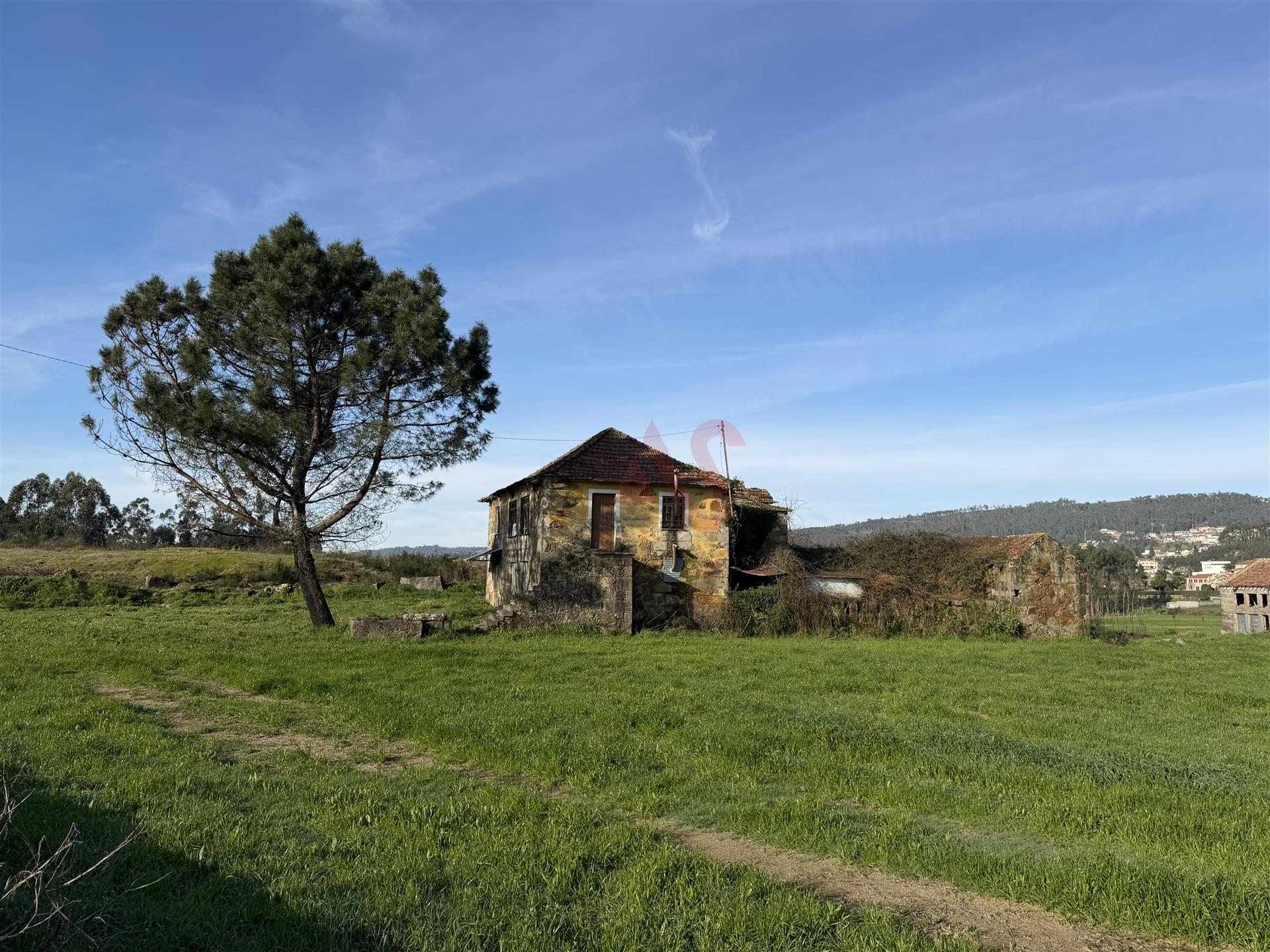 Oportunidade de Restauro com Vistas Desafogadas em Lamoso