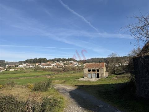 Oportunidade de Restauro com Vistas Desafogadas em Lamoso