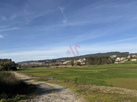 Oportunidade de Restauro com Vistas Desafogadas em Lamoso