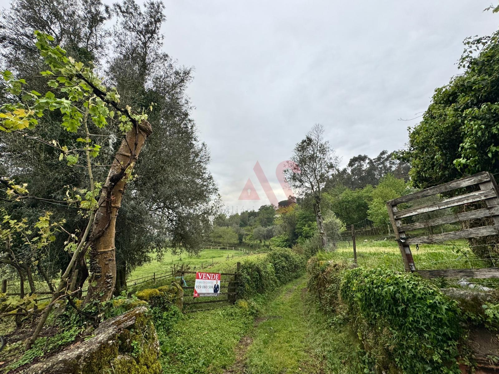 Terreno Rústico em Vieira do Minho – Natureza e Agricultura!