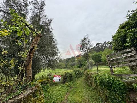 Terreno Rústico em Vieira do Minho – Natureza e Agricultura!