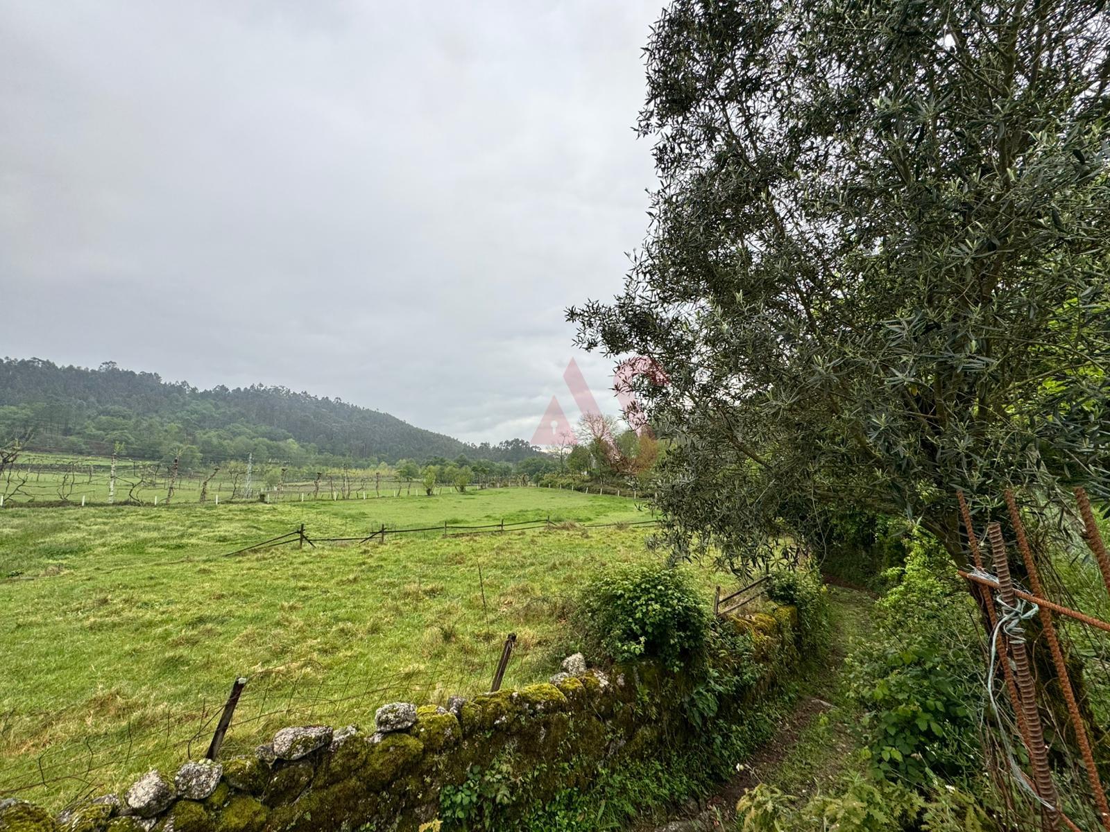 Terreno Rústico em Vieira do Minho – Natureza e Agricultura!