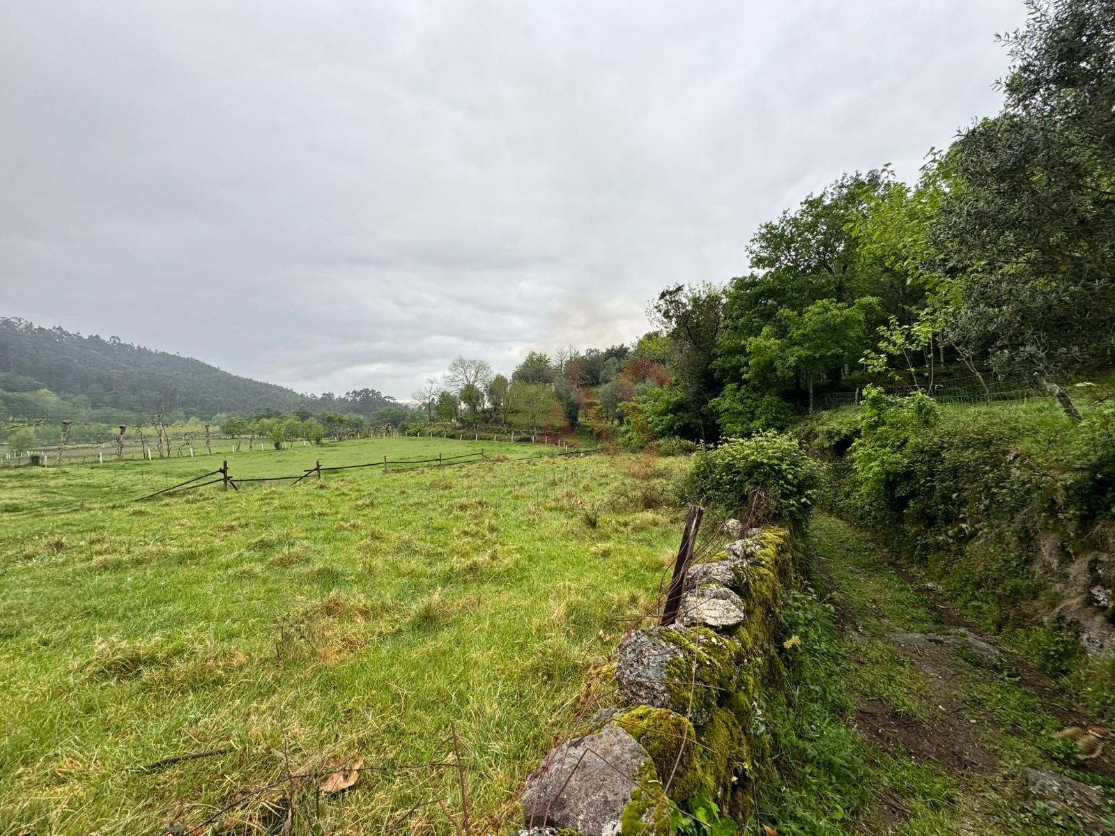 Terreno Rústico em Vieira do Minho – Natureza e Agricultura!