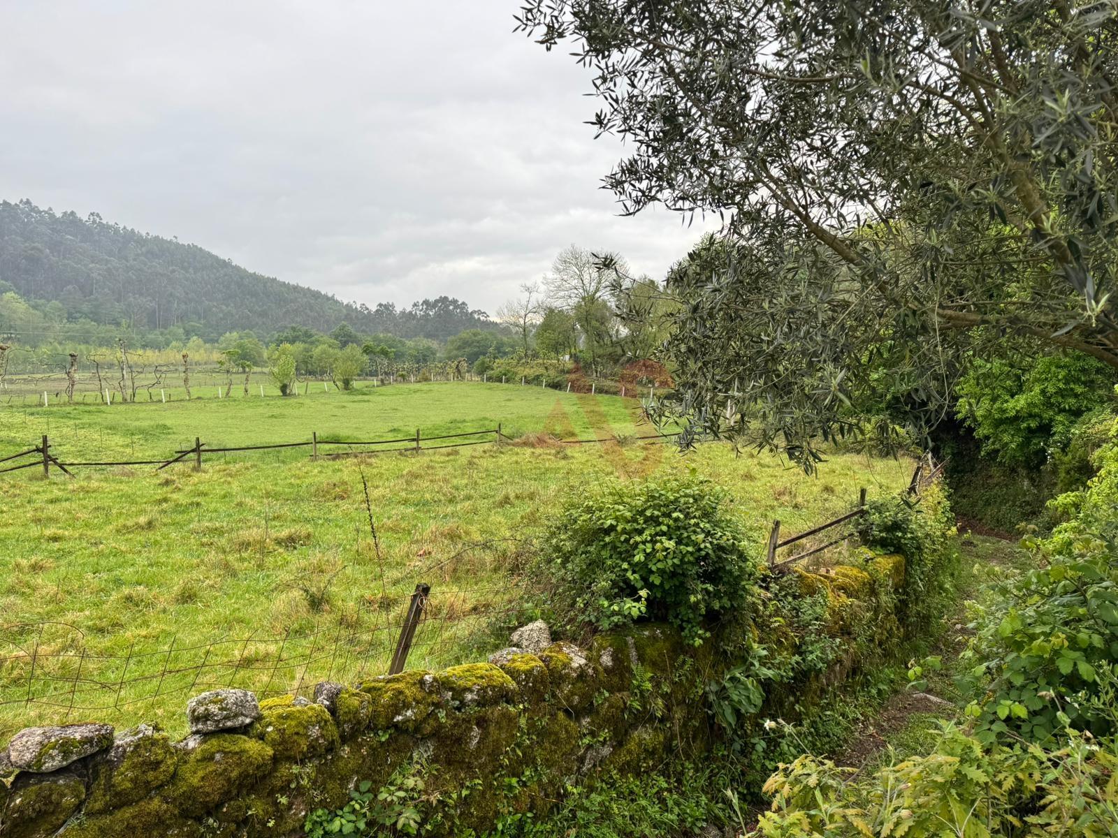 Terreno Rústico em Vieira do Minho – Natureza e Agricultura!