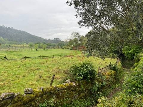 Terreno Rústico em Vieira do Minho – Natureza e Agricultura!