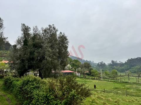Terreno Rústico em Vieira do Minho – Natureza e Agricultura!