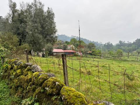 Terreno Rústico em Vieira do Minho – Natureza e Agricultura!