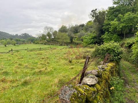 Terreno Rústico em Vieira do Minho – Natureza e Agricultura!