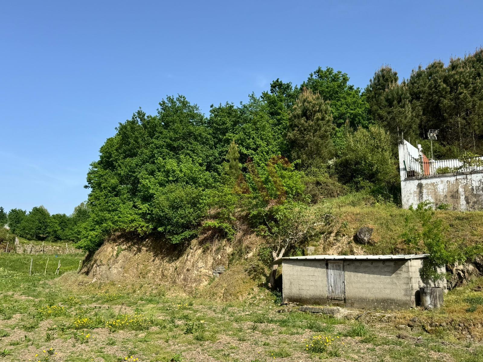 Terreno rústico com área total de 6.150 m² em Margaride, Felgueiras