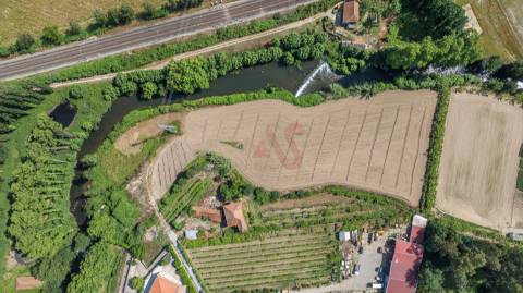 Quinta com acesso direto ao rio em Penafiel | 14.698 m²