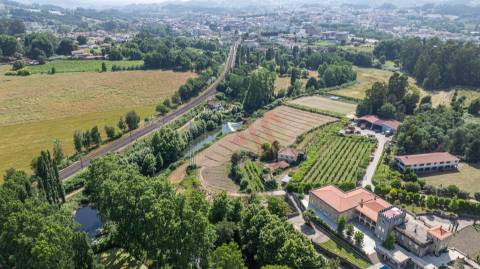 Quinta com acesso direto ao rio em Penafiel | 14.698 m²