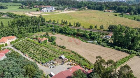Quinta com acesso direto ao rio em Penafiel | 14.698 m²