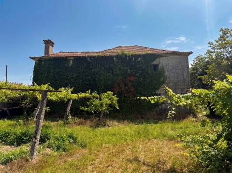 Quinta com acesso direto ao rio em Penafiel | 14.698 m²