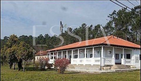 Quinta em Vila Verde - Coração do Baixo Minho