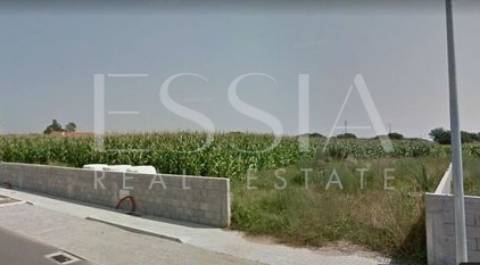 Terreno  Venda em Apúlia e Fão,Esposende