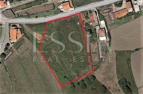 Terreno  Venda em Apúlia e Fão,Esposende