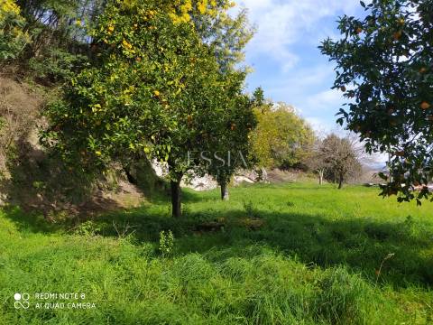 Quinta/Moradia em Gondomar