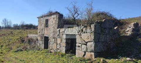 Quinta com 13 hectares em Baião