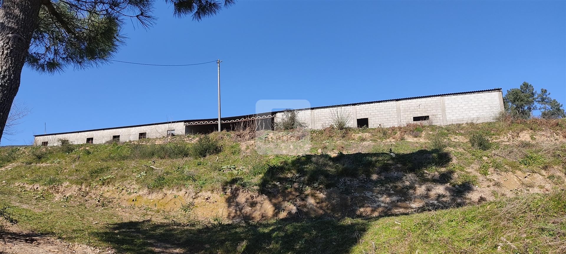 Quinta com 13 hectares em Baião