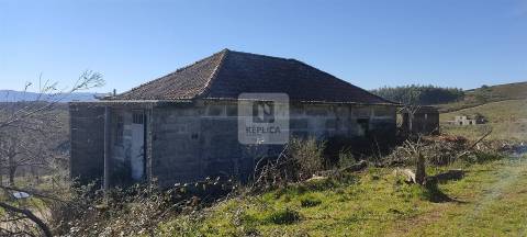 Quinta com 13 hectares em Baião