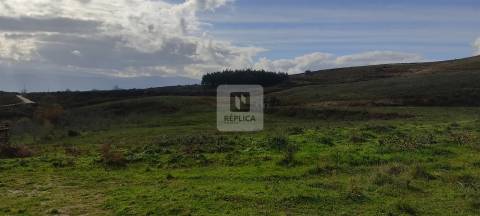 Quinta com 13 hectares em Baião