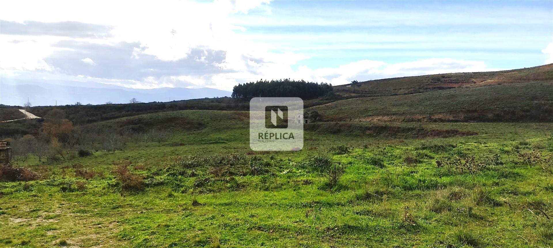 Quinta com 13 hectares em Baião