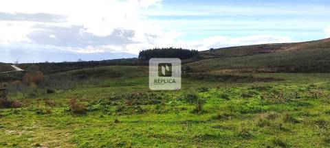 Quinta com 13 hectares em Baião