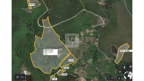 Quinta com 13 hectares em Baião