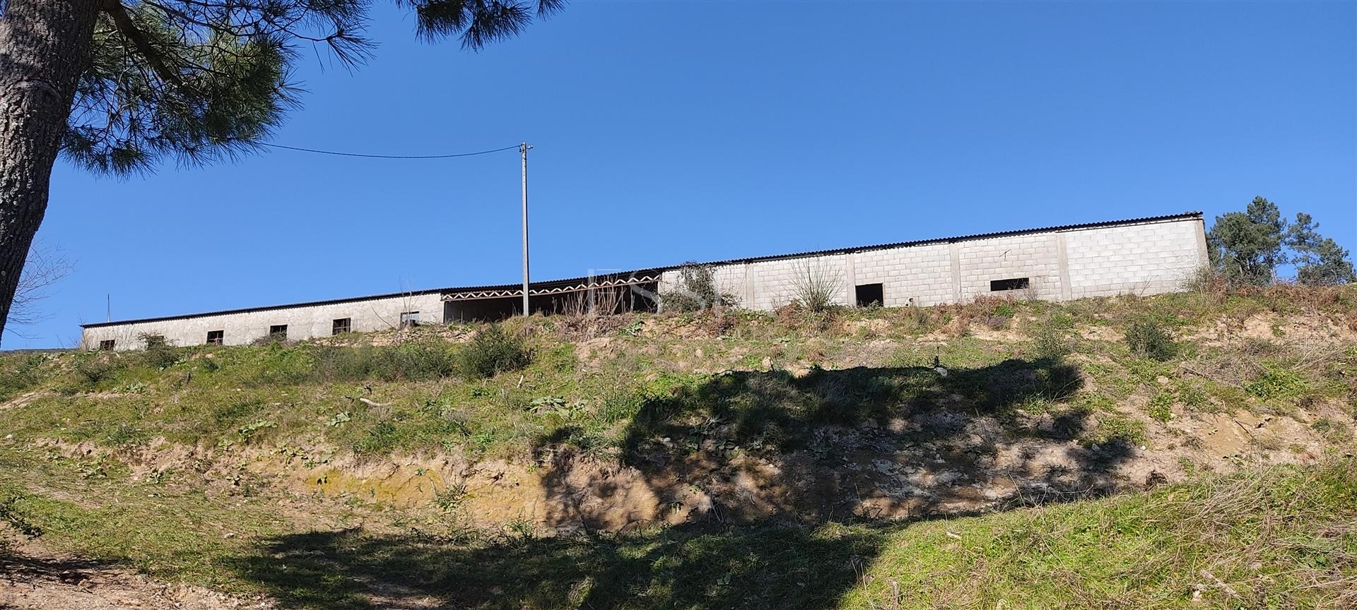 Quinta com 13 hectares em Baião