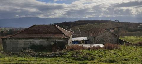 Quinta com 13 hectares em Baião