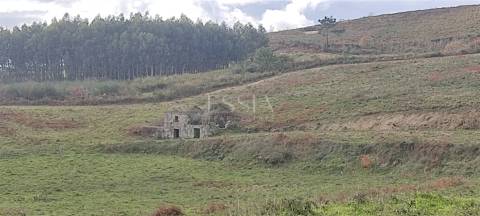 Quinta com 13 hectares em Baião