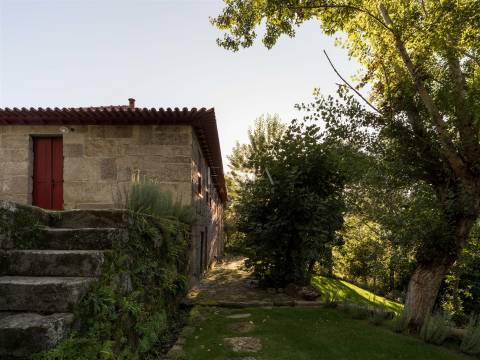 Quinta de Velude no Douro com 7 Hectares