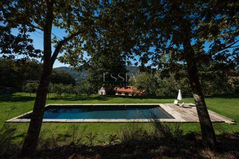 Quinta de Velude no Douro com 7 Hectares