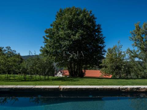 Quinta de Velude no Douro com 7 Hectares