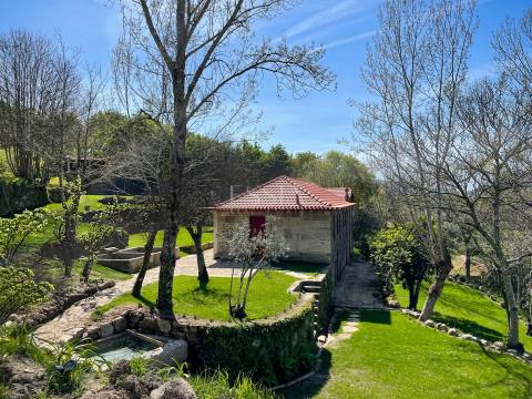 Quinta de Velude no Douro com 7 Hectares