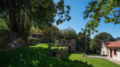 Quinta de Velude no Douro com 7 Hectares