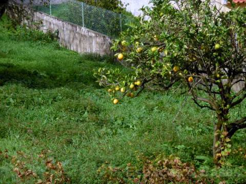 Terreno para construção