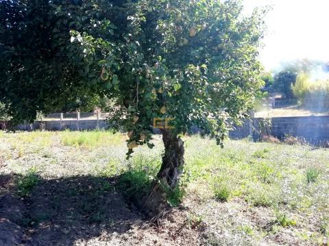 Terreno na Zona de Vila Verde